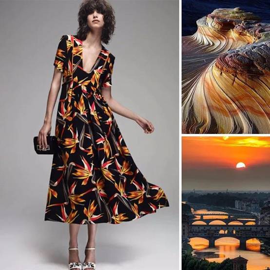 image014.jpg undefined