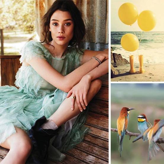 image036.jpg undefined